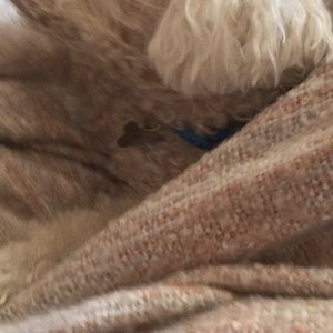 Meet your Posher, Michele